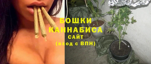 ГАЛЛЮЦИНОГЕННЫЕ ГРИБЫ Армянск